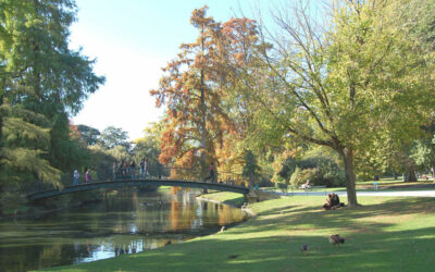 Le charme de Bordeaux et de ses jardins